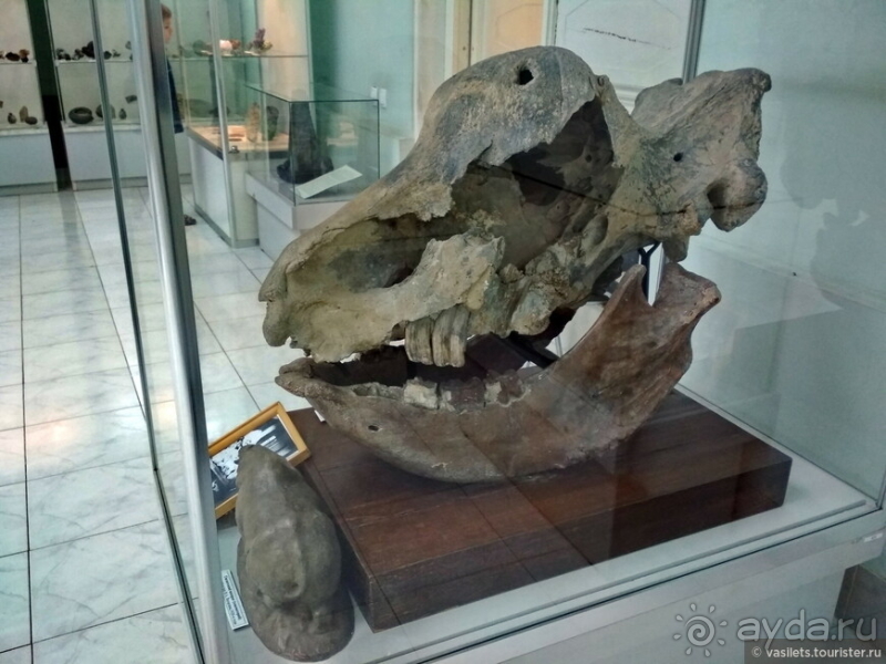 Заглянем в каменную летопись Земли?