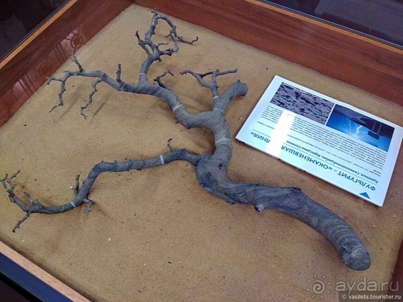 Заглянем в каменную летопись Земли?