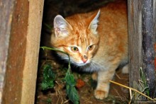 Семейная поездка в Этномир