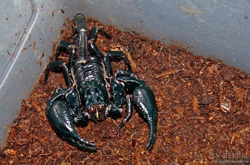 Семейная поездка в Этномир