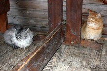 Семейная поездка в Этномир