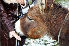 Семейная поездка в Этномир