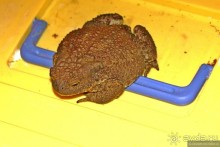 Альбом отзыва "Семейная поездка в Этномир"