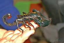 Семейная поездка в Этномир