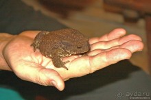 Семейная поездка в Этномир