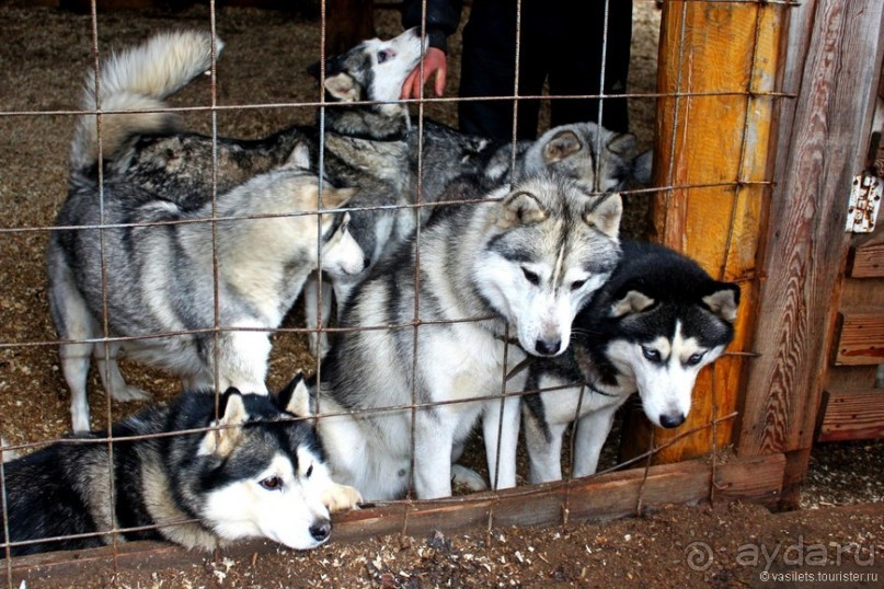 Семейная поездка в Этномир
