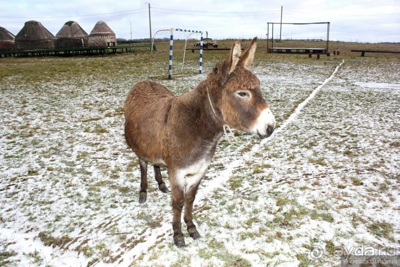 Семейная поездка в Этномир