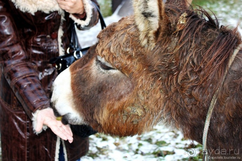 Семейная поездка в Этномир