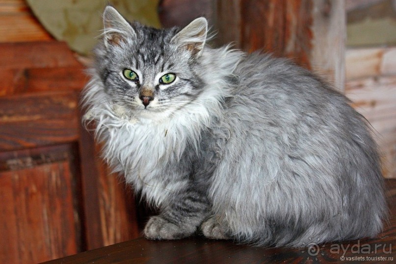 Семейная поездка в Этномир