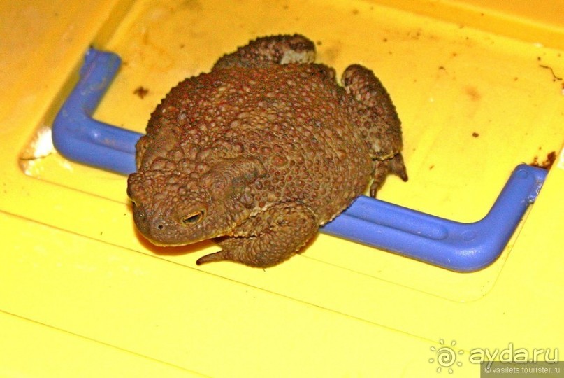 Семейная поездка в Этномир