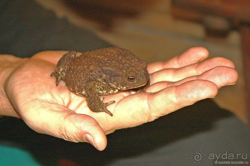 Семейная поездка в Этномир