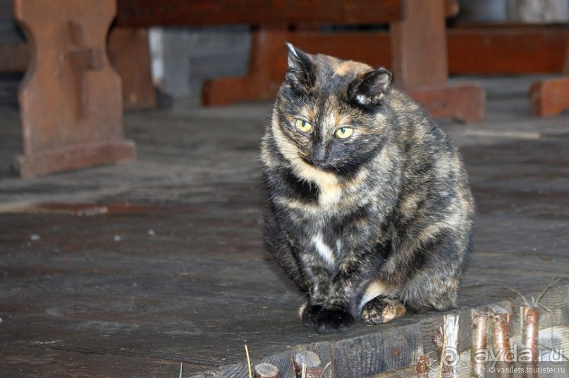 Семейная поездка в Этномир