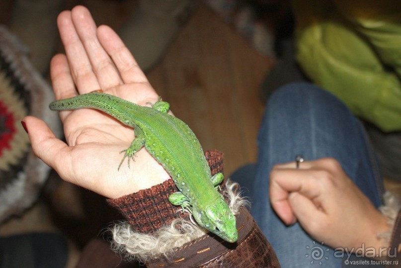 Семейная поездка в Этномир