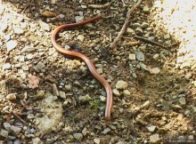 Плитвицкие озера