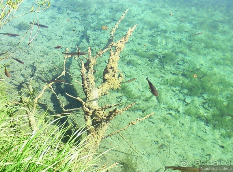 Плитвицкие озера