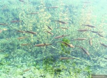 Плитвицкие озера