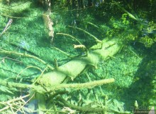 Альбом отзыва "Плитвицкие озера"