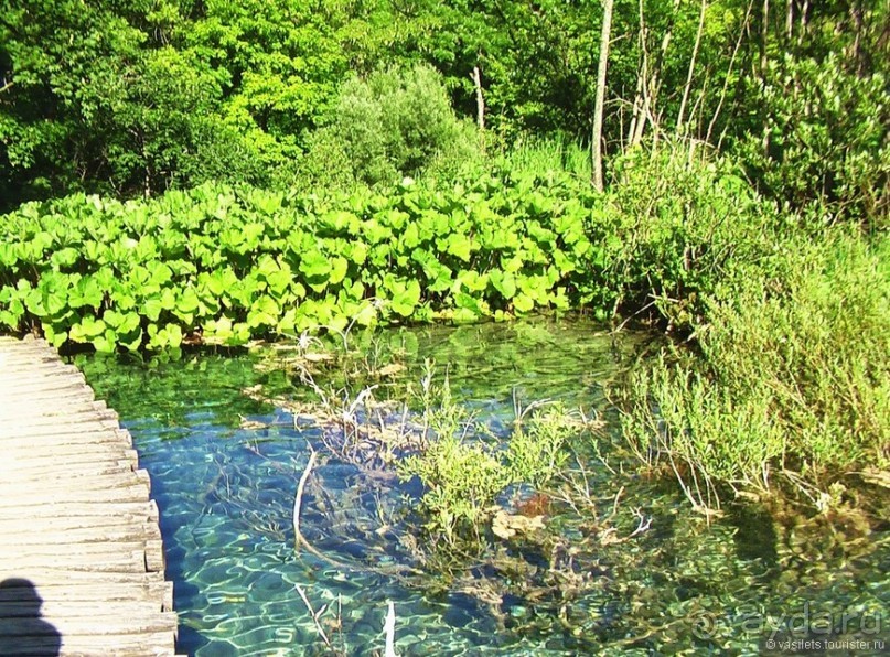 Альбом отзыва "Плитвицкие озера"