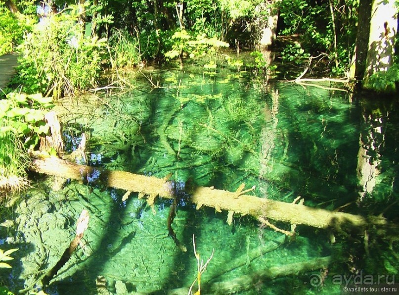 Альбом отзыва "Плитвицкие озера"