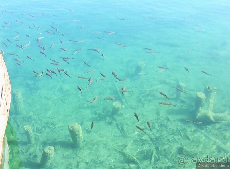 фото Плитвицких озер