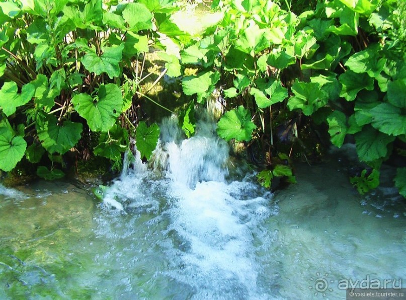 фото Плитвицких озер