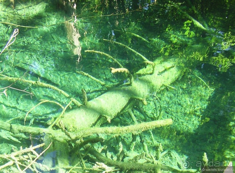фото Плитвицких озер