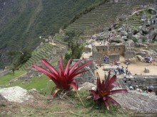 Куско, Мачу-Пикчу и Священная долина