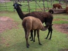 Куско, Мачу-Пикчу и Священная долина