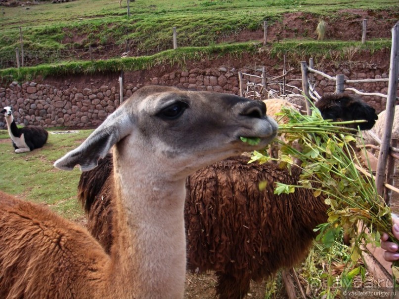 Куско, Мачу-Пикчу и Священная долина