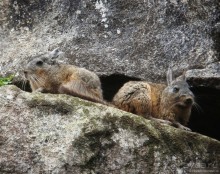 Куско, Мачу-Пикчу и Священная долина