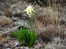 Куско, Мачу-Пикчу и Священная долина