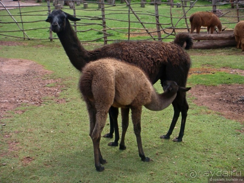 Куско, Мачу-Пикчу и Священная долина