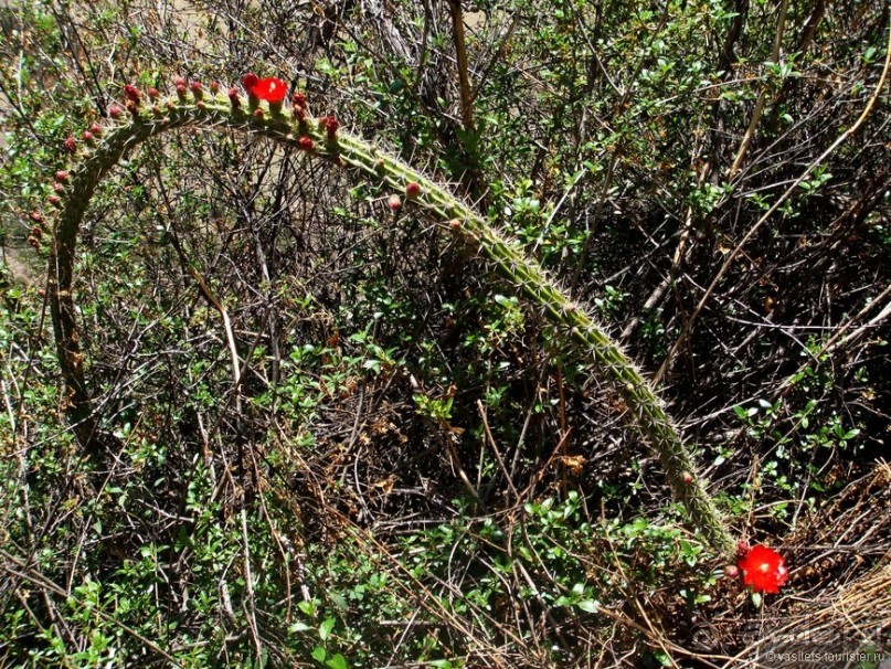 Куско, Мачу-Пикчу и Священная долина