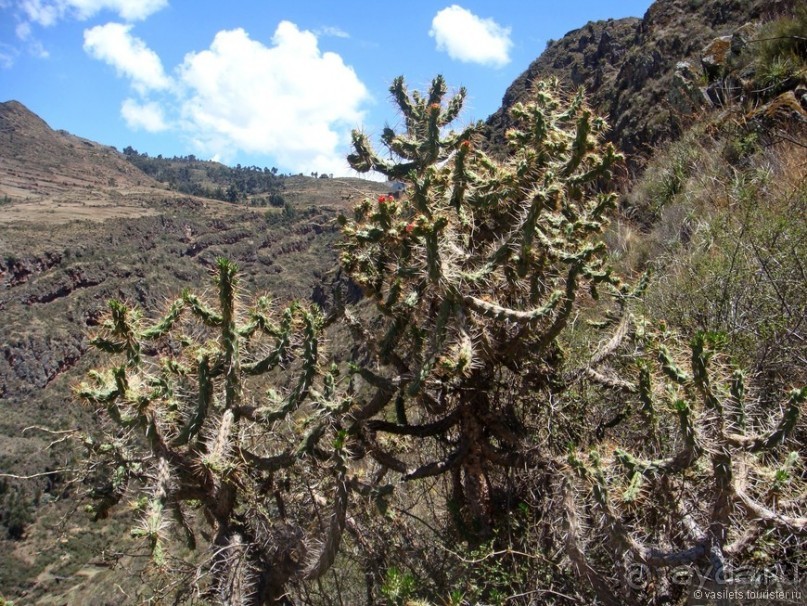 Куско, Мачу-Пикчу и Священная долина