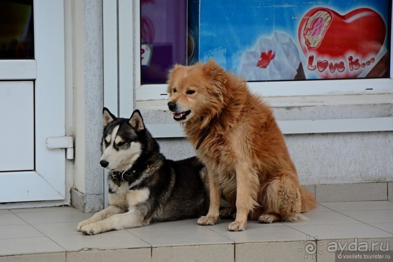 Зимняя Абхазия и Рица в придачу