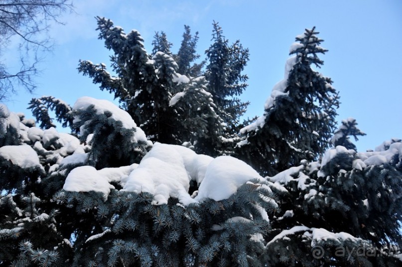 В Москве была зима...