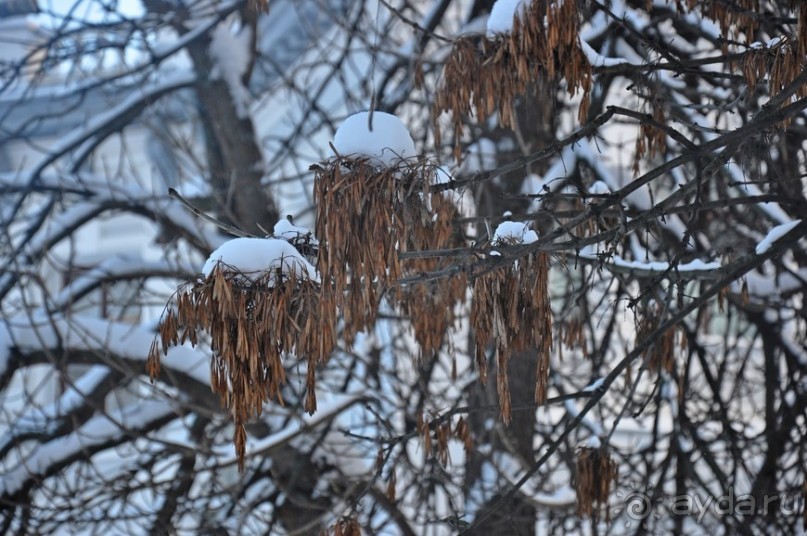 В Москве была зима...