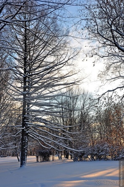 В Москве была зима...