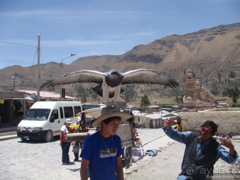 Альбом отзыва "Ущелье кондоров Колка"