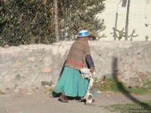 Альбом отзыва "Ущелье кондоров Колка"