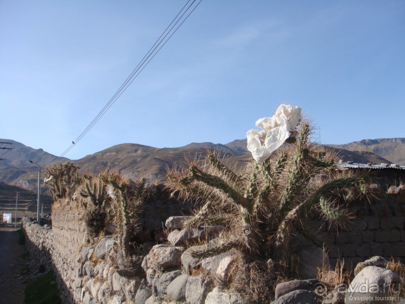 Альбом отзыва "Ущелье кондоров Колка"