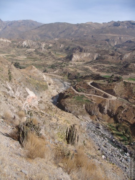 Альбом отзыва "Ущелье кондоров Колка"