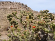 Альбом отзыва "Ущелье кондоров Колка"