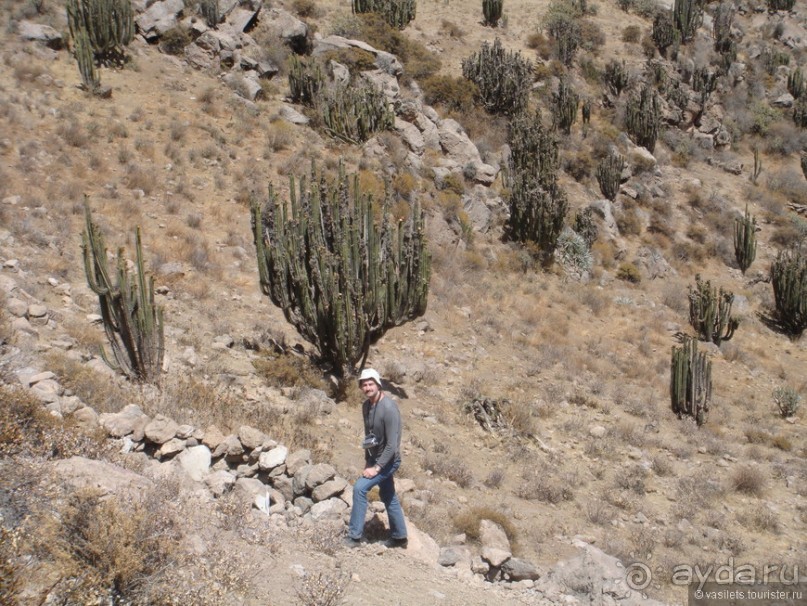 Ущелье кондоров Колка