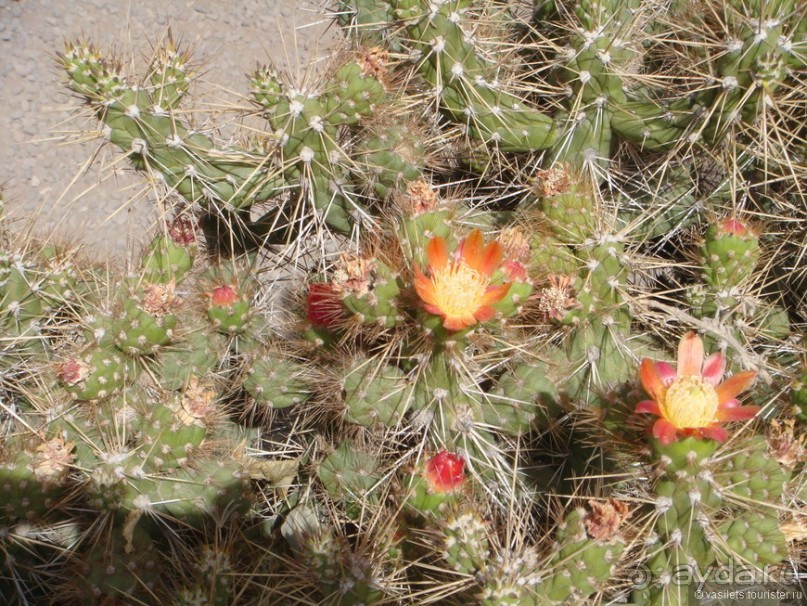 Ущелье кондоров Колка