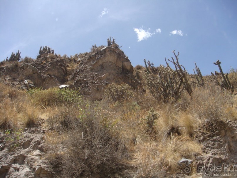 Ущелье кондоров Колка