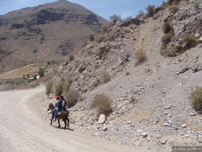 Ущелье кондоров Колка