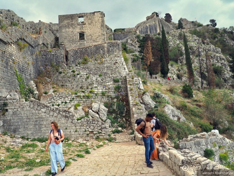 фото Котора