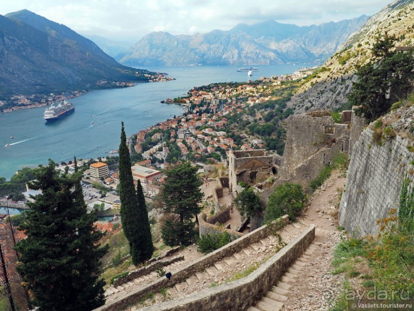 Альбом отзыва "Котор — от слова «кот»?"