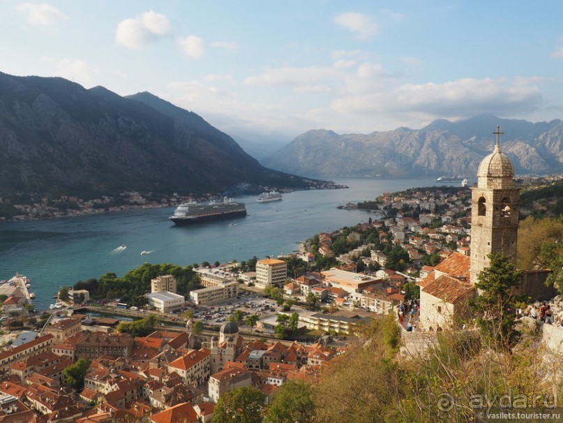 Альбом отзыва "Котор — от слова «кот»?"